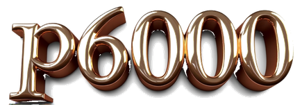 p6000 logo